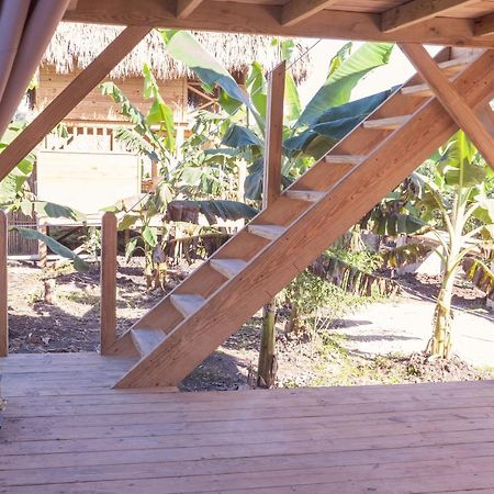Samana Ecolodge El Limon Екстер'єр фото