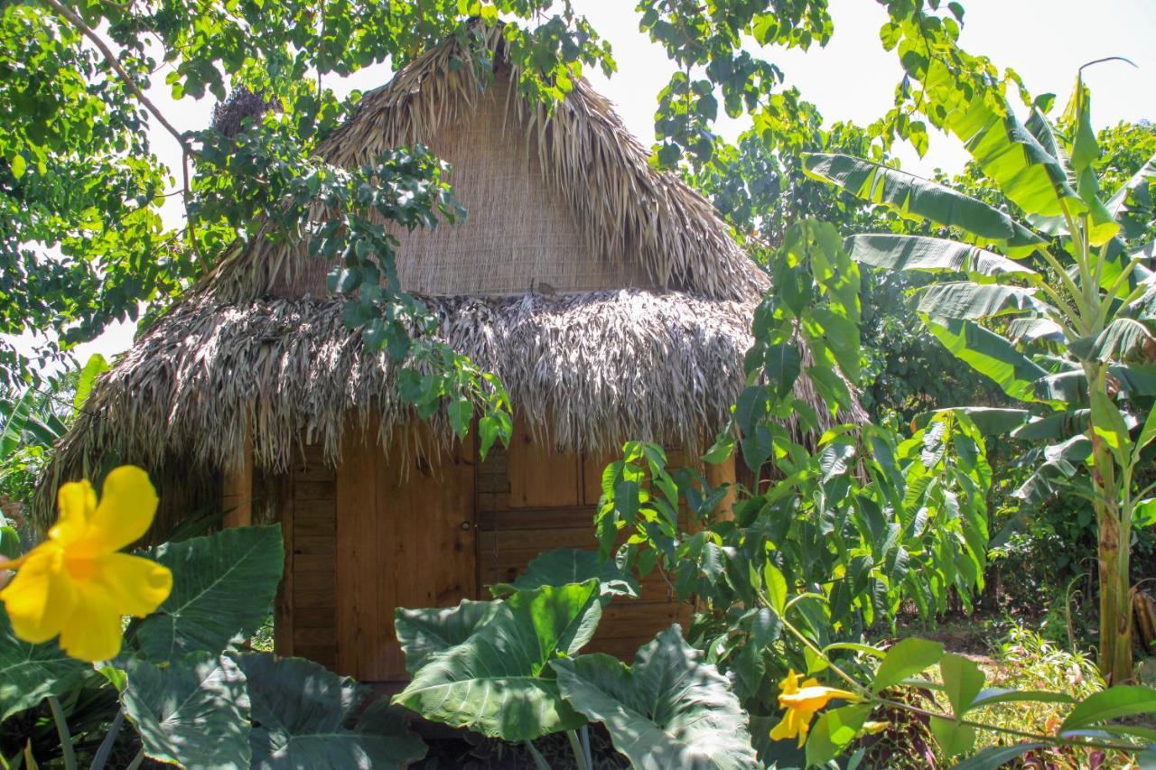 Samana Ecolodge El Limon Екстер'єр фото