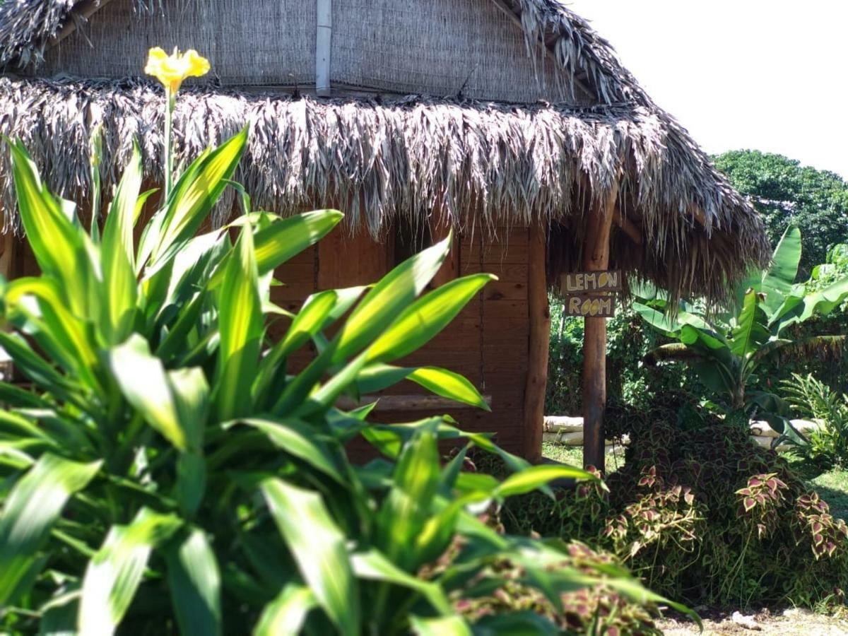 Samana Ecolodge El Limon Екстер'єр фото