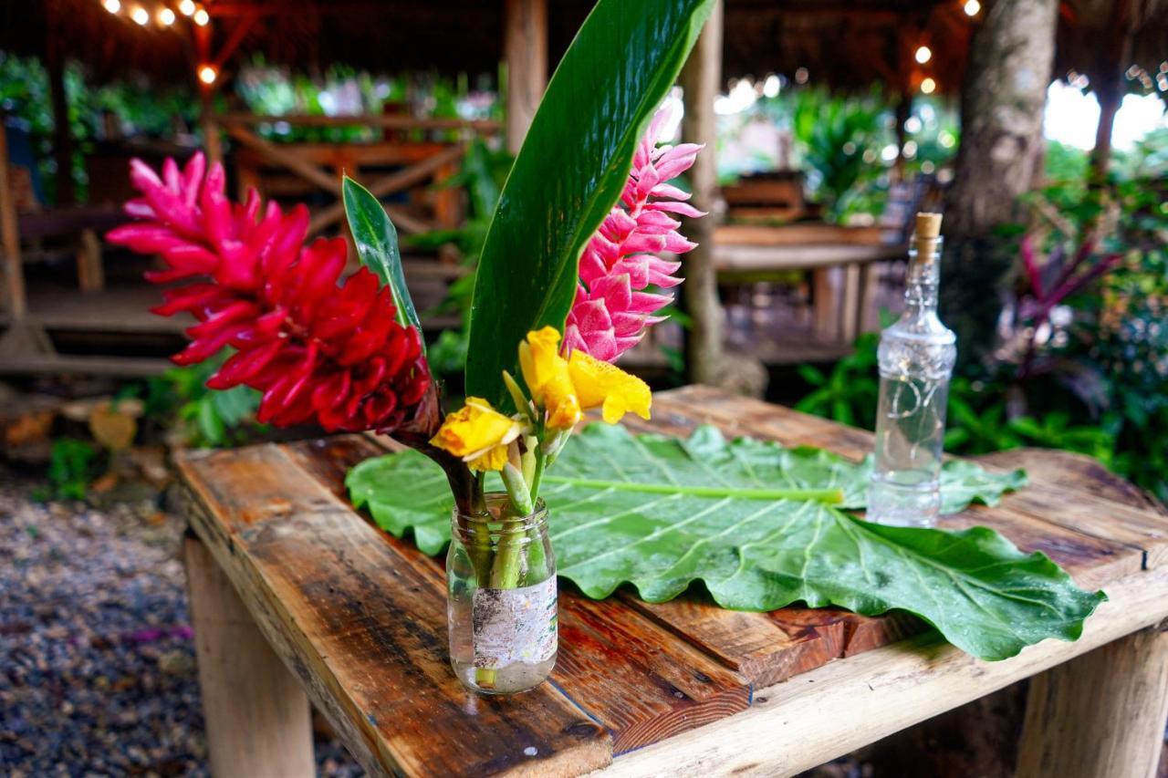 Samana Ecolodge El Limon Екстер'єр фото