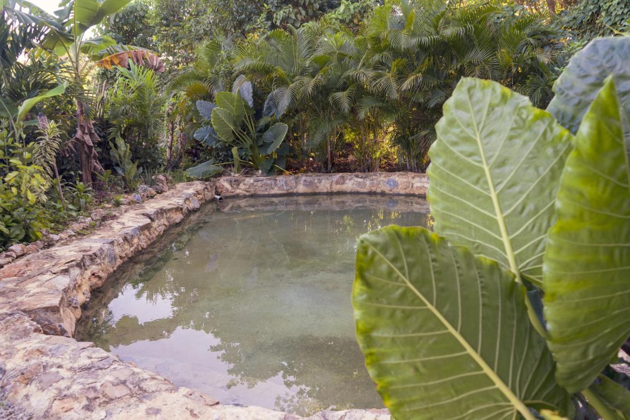 Samana Ecolodge El Limon Екстер'єр фото
